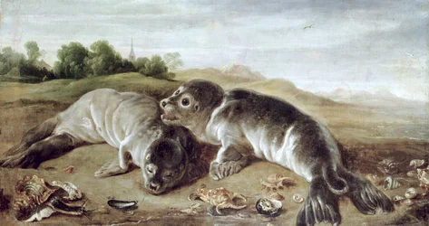 Twee jonge zeehonden aan de kust, ca. 1650